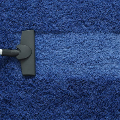 Fluffy Rug Indoor Plush Soft Carpet