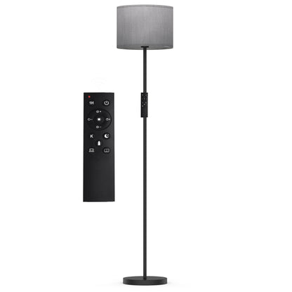 61.5'' Traditional Floor Lamp with Remote Control
