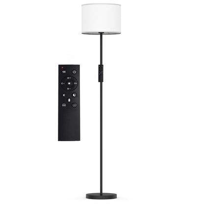 61.5'' Traditional Floor Lamp with Remote Control