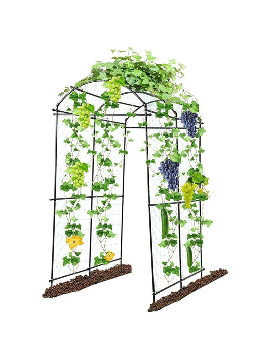 Garden Arch Trellis For Climbing Plants