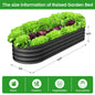 2-Pack Oval Galvanized Steel Raised Garden Bed